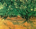 Olive Trees Vincent van Gogh